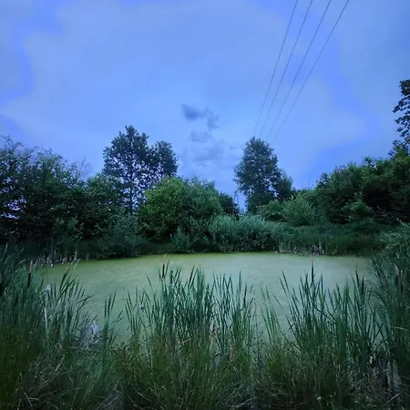 Mech Na Dachu - Letniskowy *